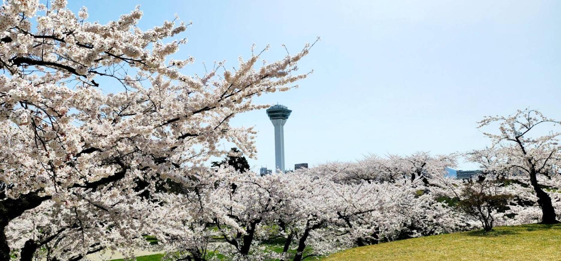 Yunohama Hotel Hakodate Esterno foto